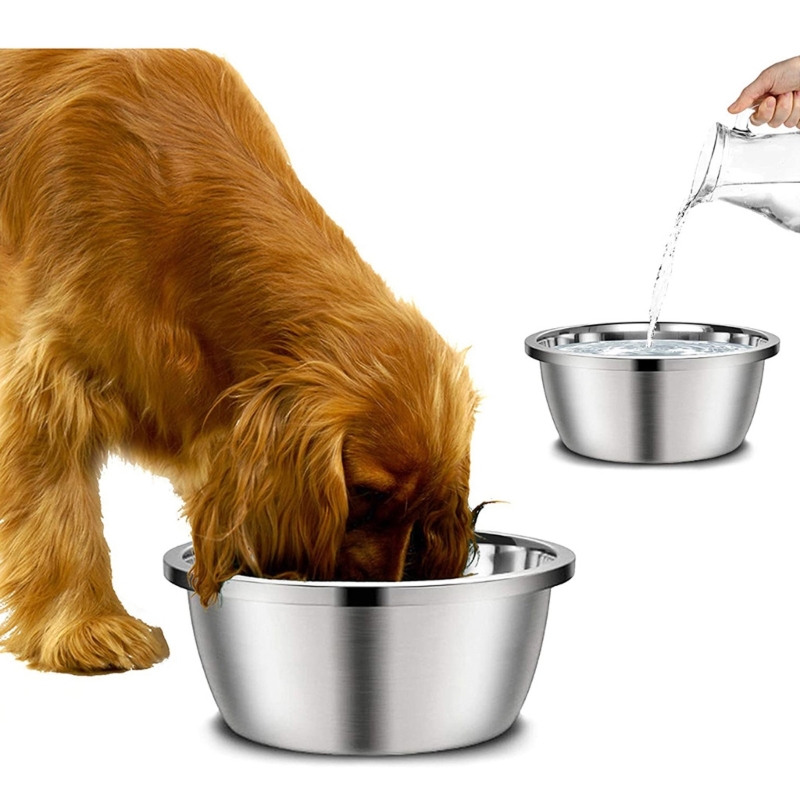 Tempat Makan Anjing dari Baja  - Royal Canin Food Medium ulasan dan harga